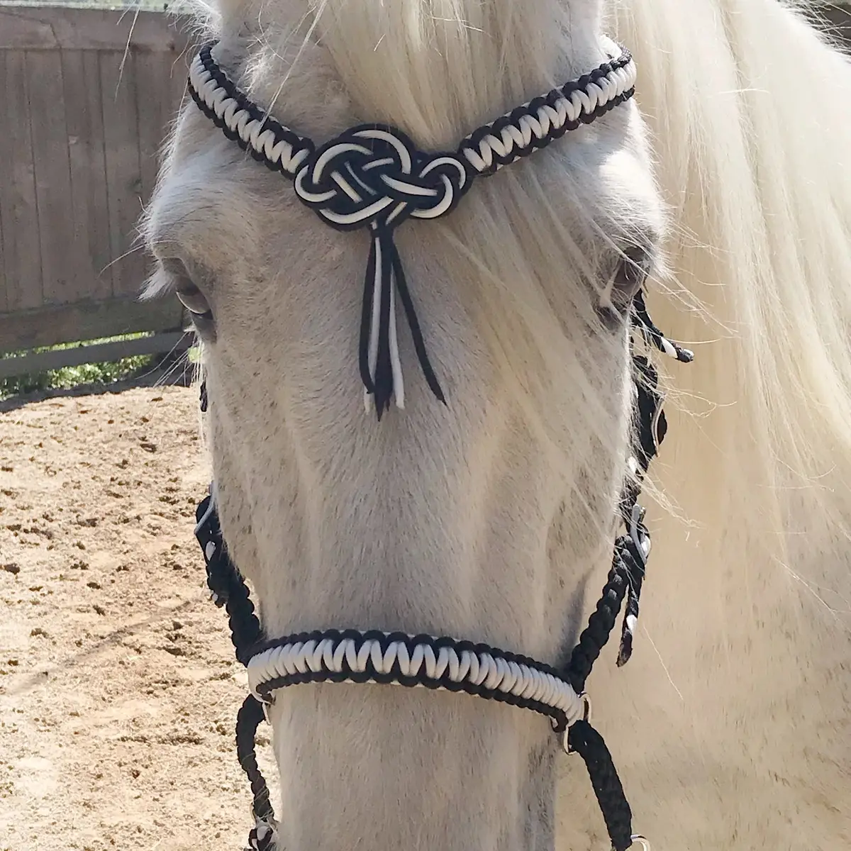 Snaffle bridle with decorative knot 3