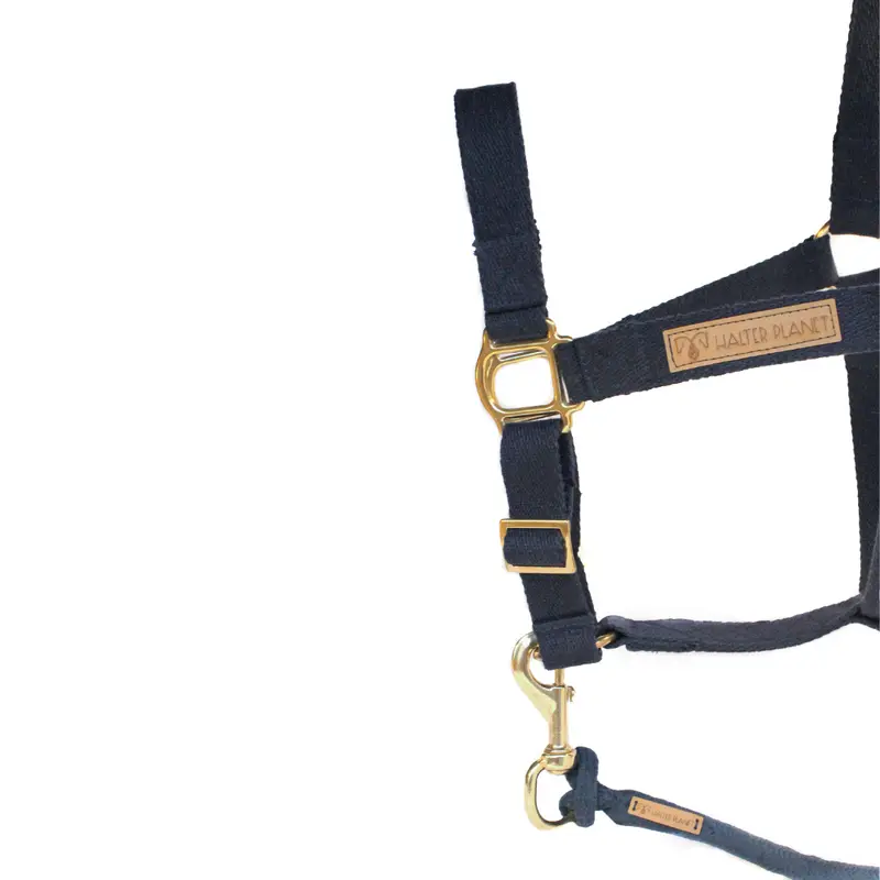 Florestan halter 3