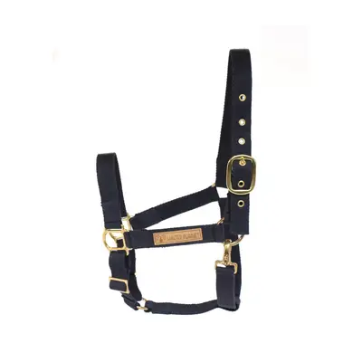 Florestan halter 1