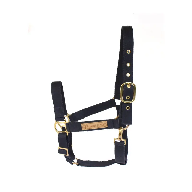 Florestan halter