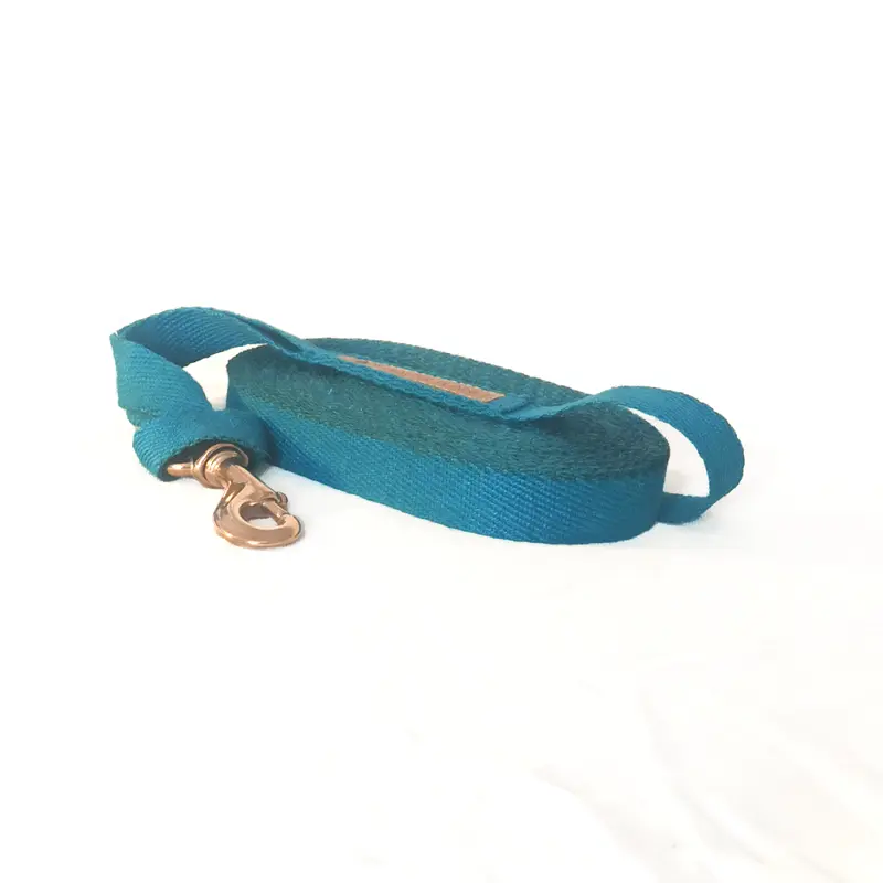 Saturnin lead rope 2