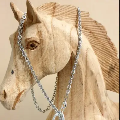 Stirrup chain necklace 1