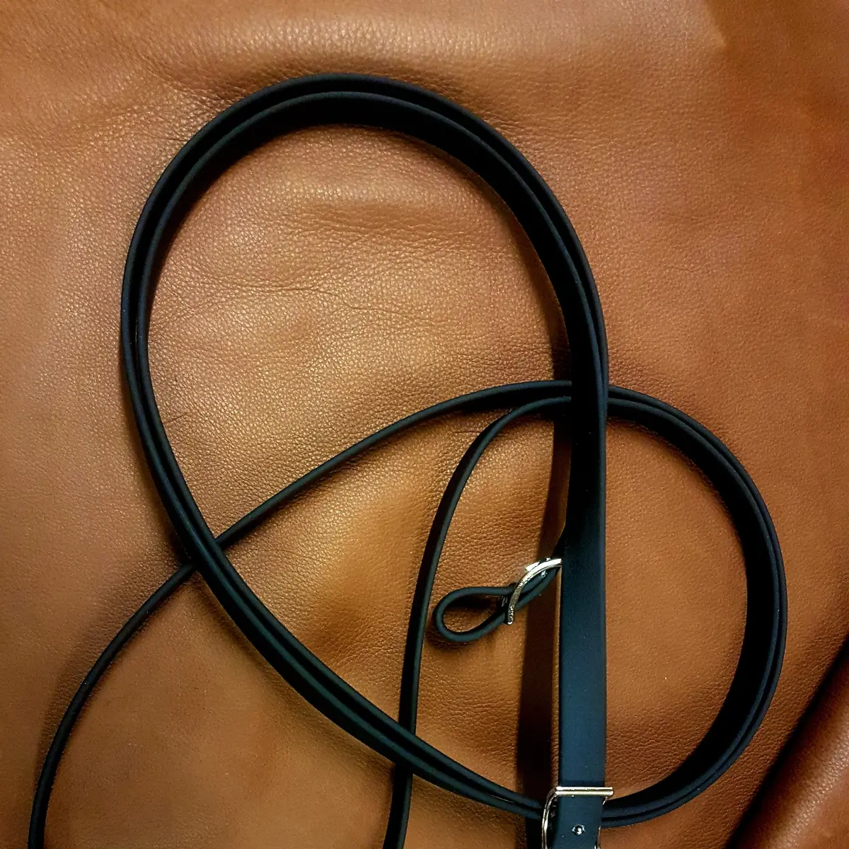 Biothane reins