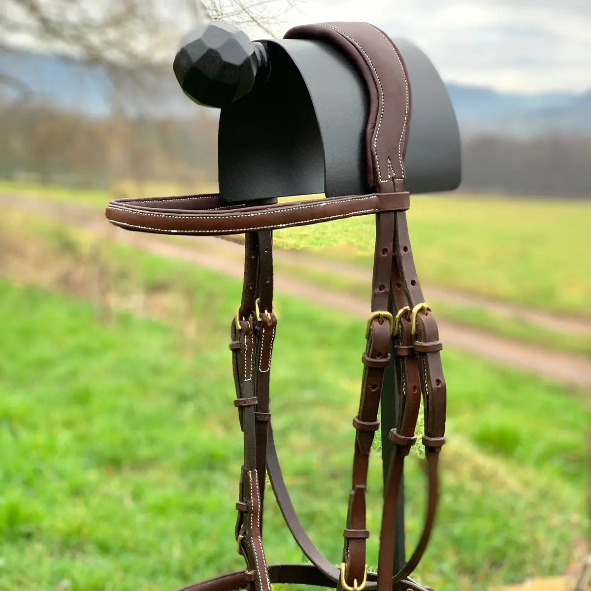 Simply stylish showjumping bridle