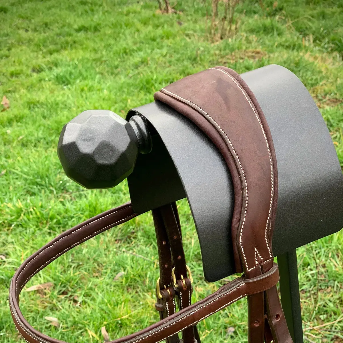 Simply stylish showjumping bridle 2