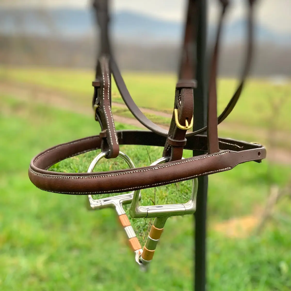 Simply stylish showjumping bridle 3