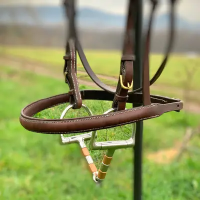 Simply stylish showjumping bridle 3