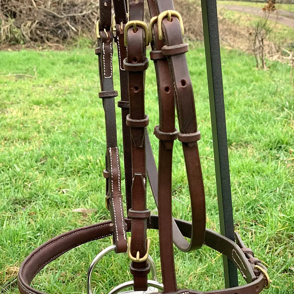 Simply stylish showjumping bridle 4