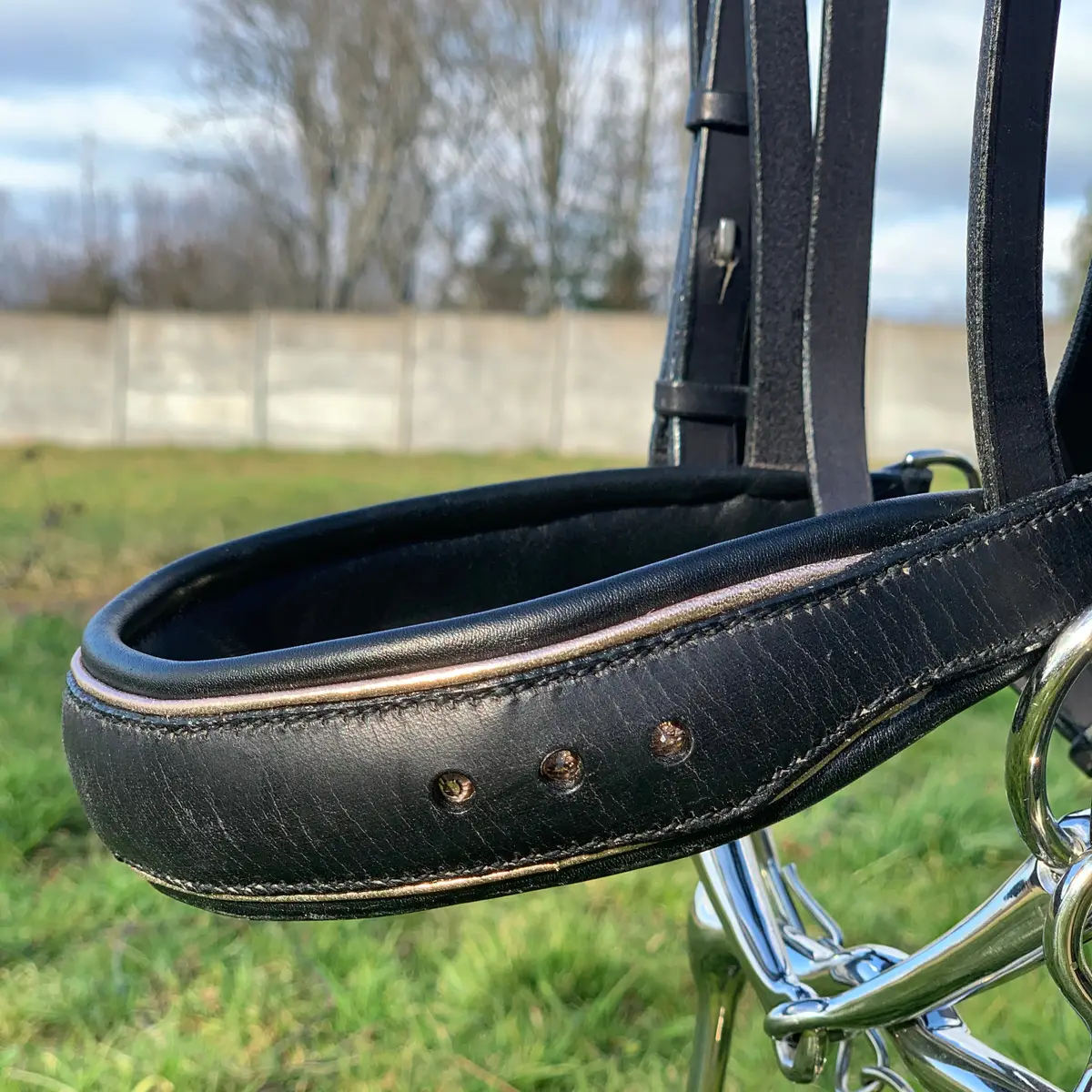 Hand-stitched dressage bridle 3