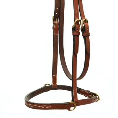 Sidepull 2