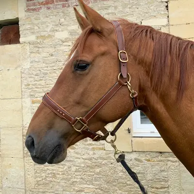 Diamanté halter 3