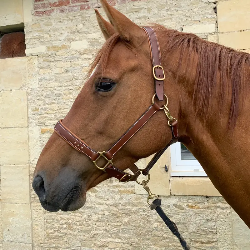 Diamanté halter 3