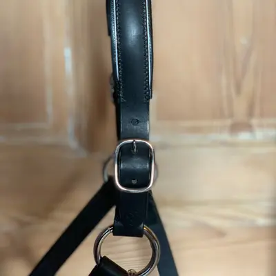 Piped trim halter 3