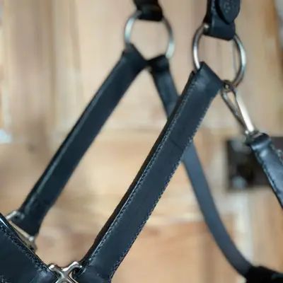 Piped trim halter 5