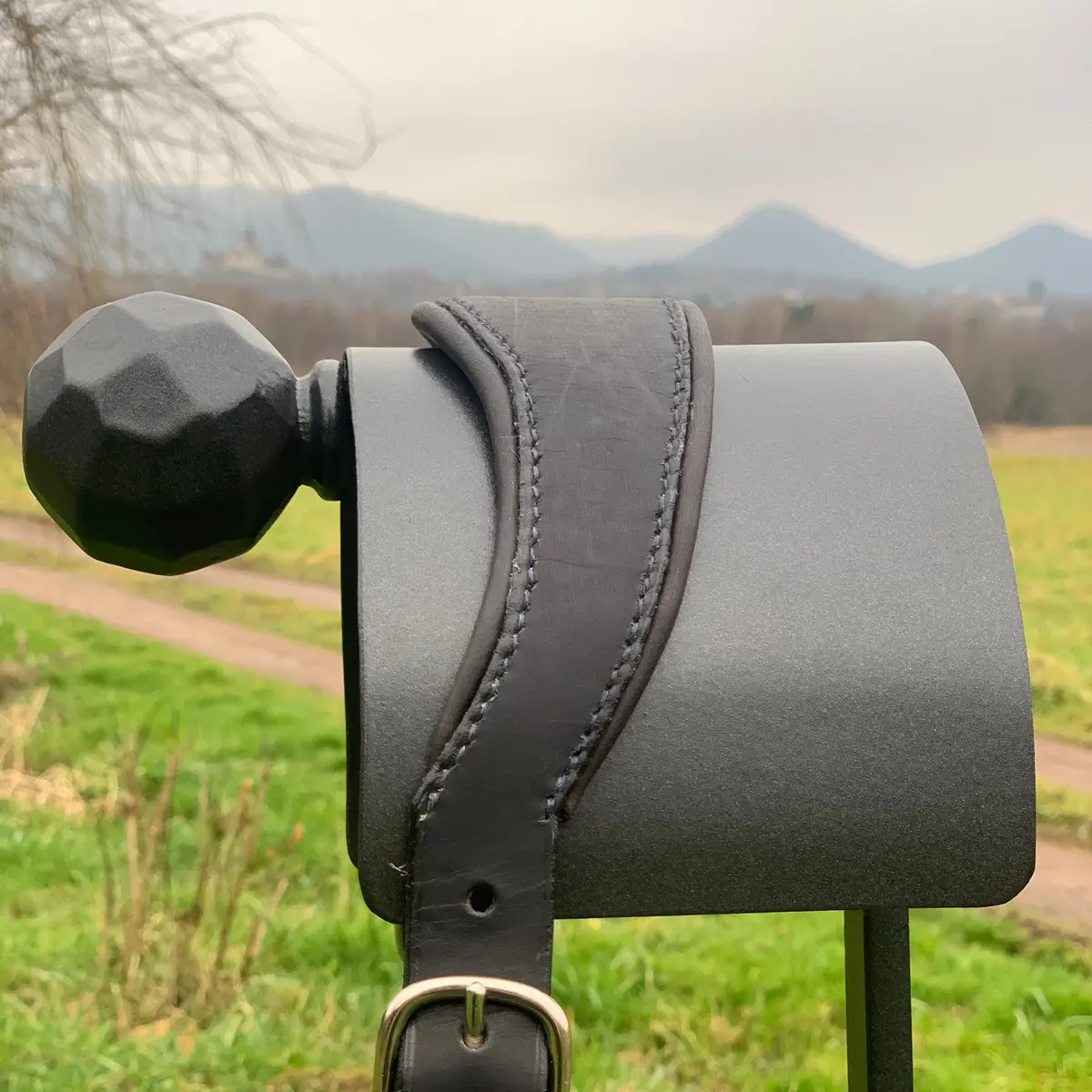 Premium halter 2