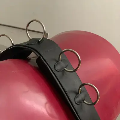 Working surcingle 6