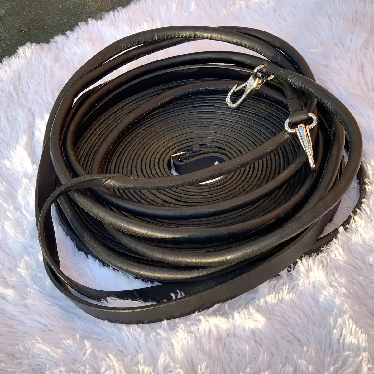 Long reins