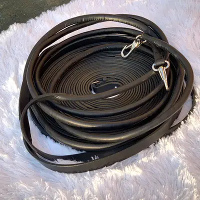 Long reins 1