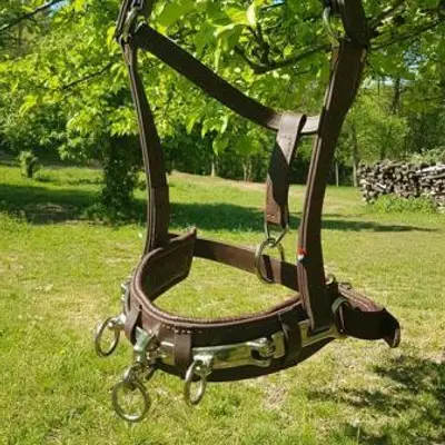 Caveçon pour cheval de trait 1