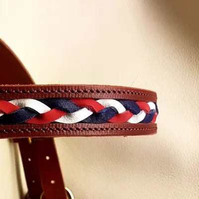 Frenchy snaffle bridle for draught horses 3