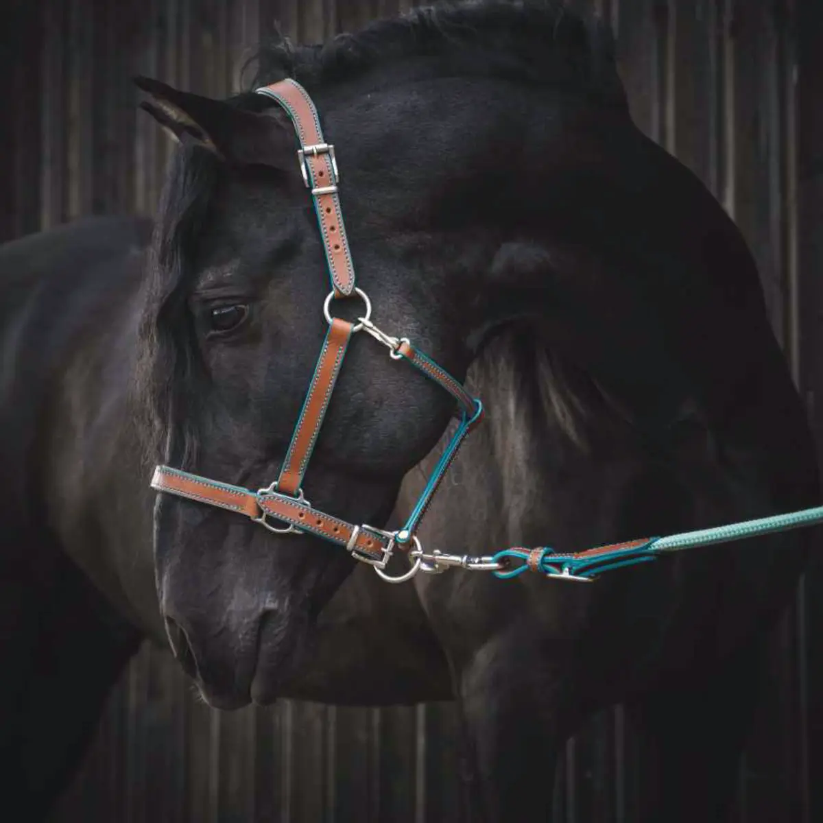 Full grain vegetable-tanned leather halter