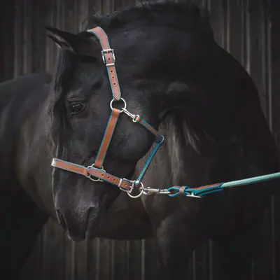 Full grain vegetable-tanned leather halter 1