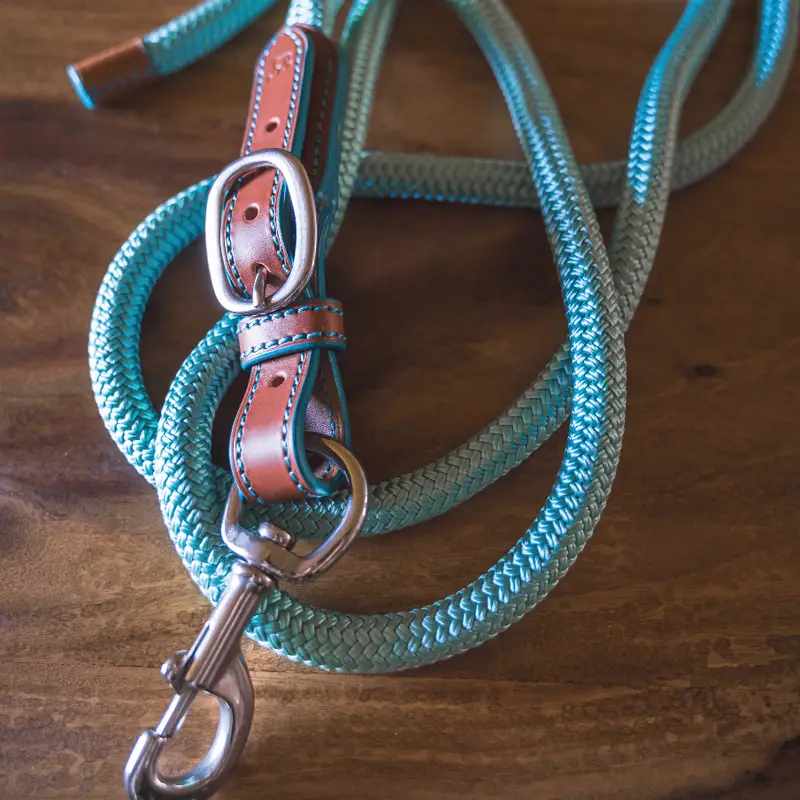 Luxury 2.2 m leather lead rope 3