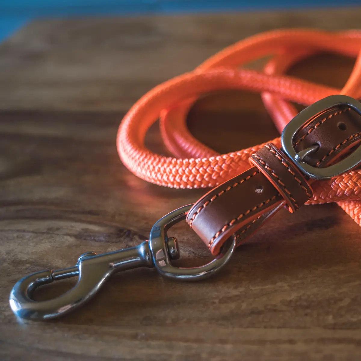 Luxury 2.2 m leather lead rope 4