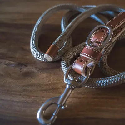 Luxury 9 m leather lead rope 3