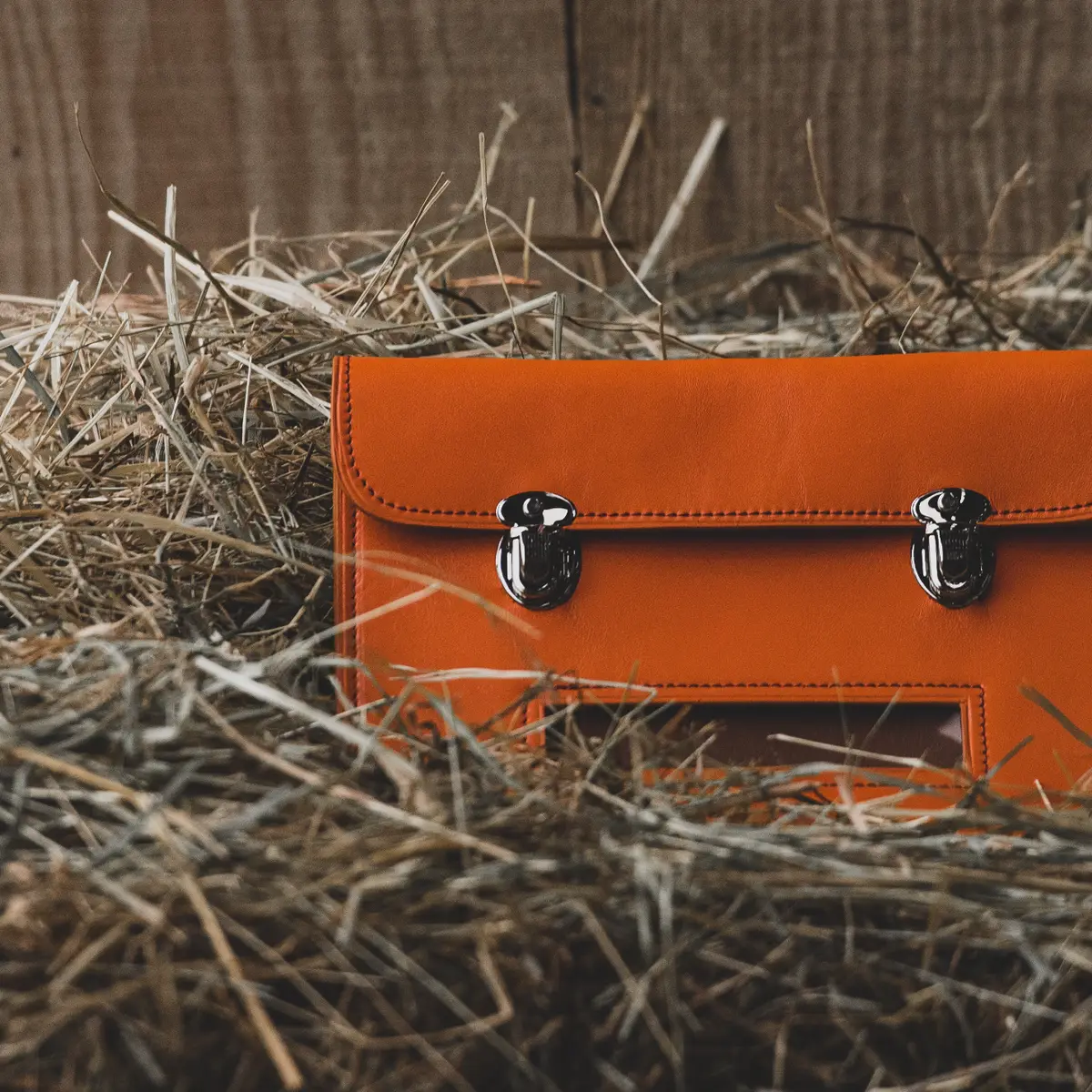 Document case