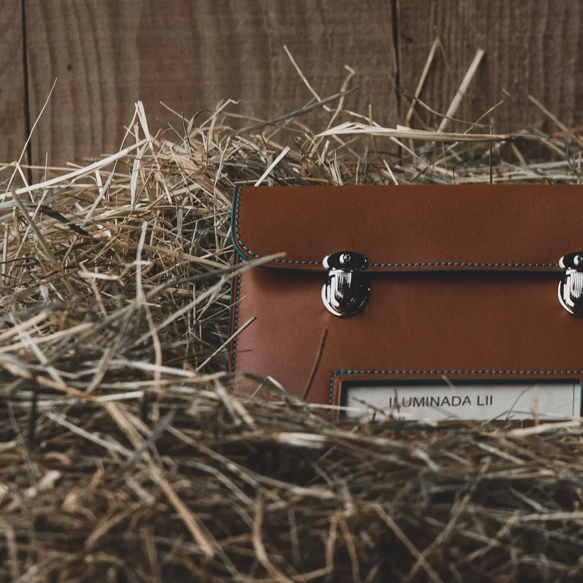 Document case 3