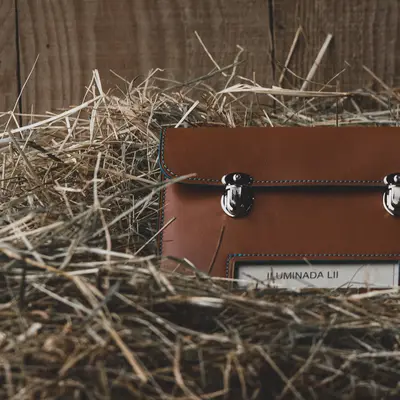 Document case 3