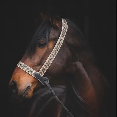 Presentation halter 2
