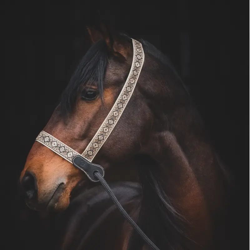 Presentation halter 2