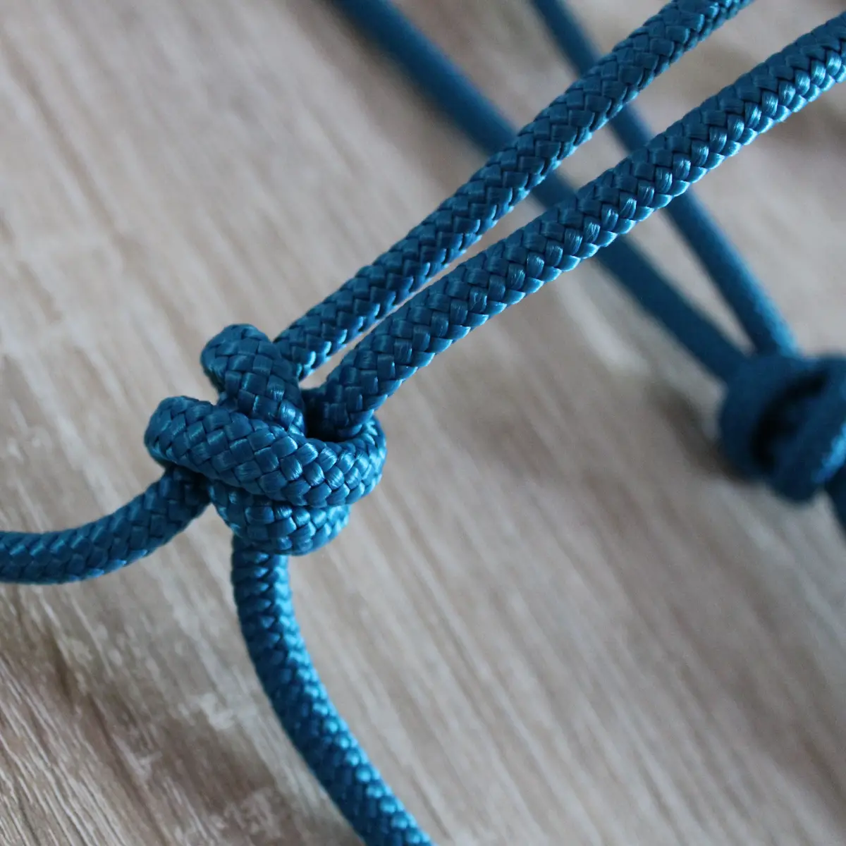 Simple natural horsemanship halter 2