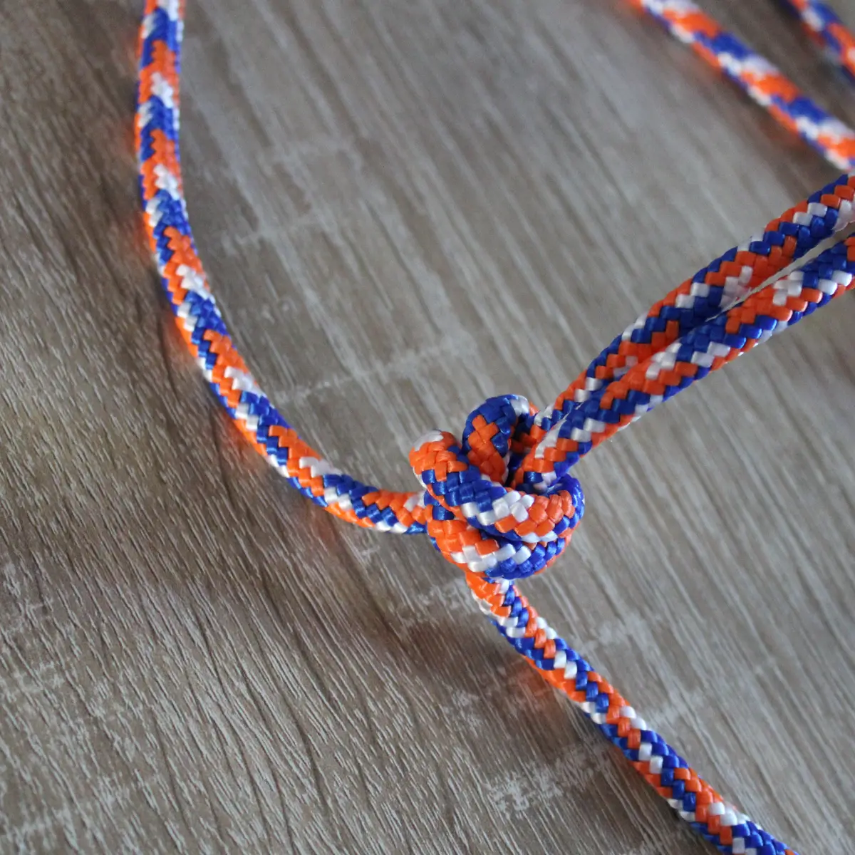 Simple natural horsemanship halter 3