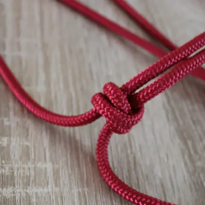 Simple natural horsemanship halter 4