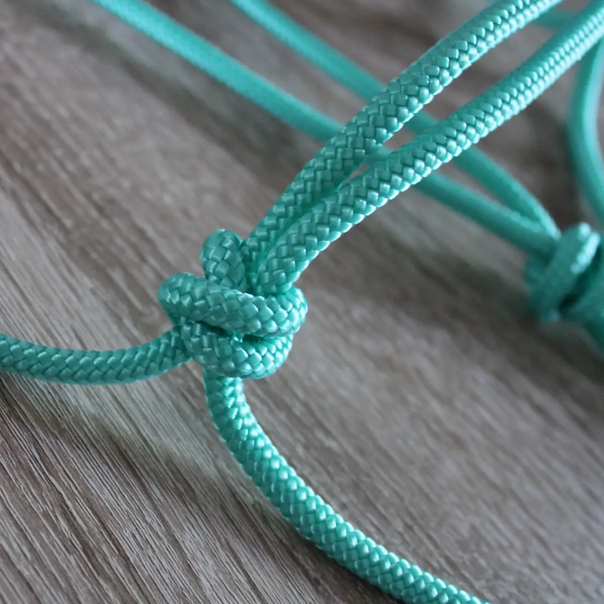 Simple natural horsemanship halter 9