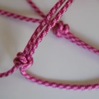 Simple natural horsemanship halter 11