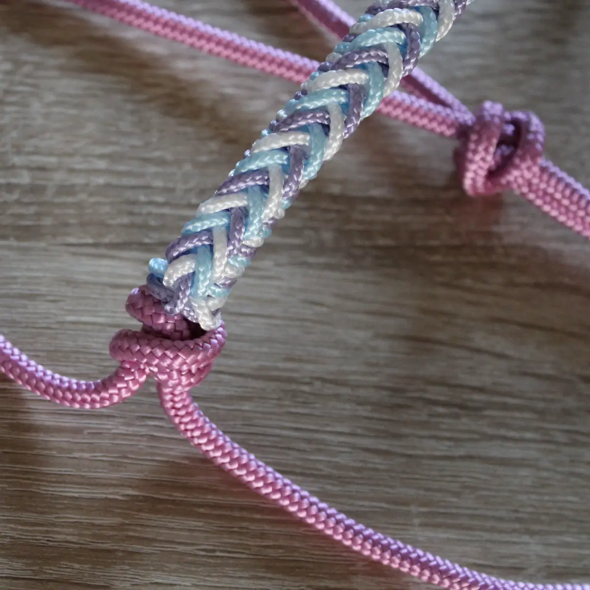 Crystal rope halter 5
