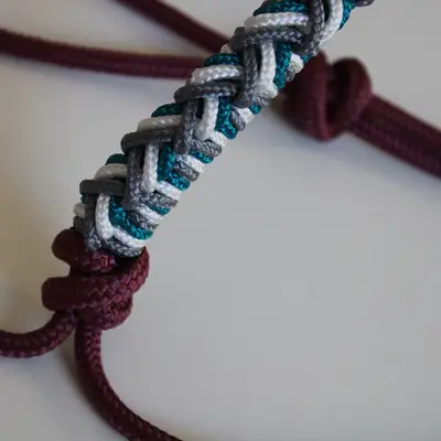 Crystal rope halter 6