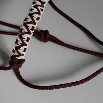 Ethological halter star 4