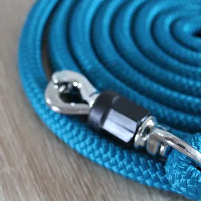 Safety lead rope 1