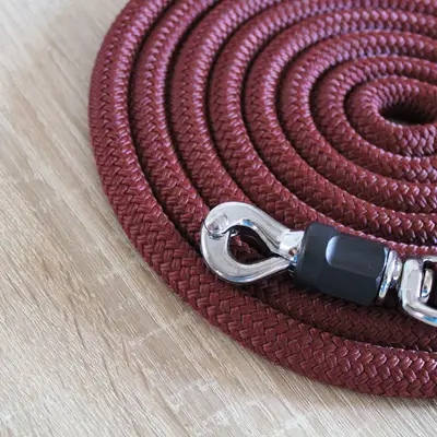 Safety lead rope 3