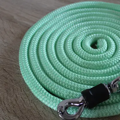 Safety lead rope 7