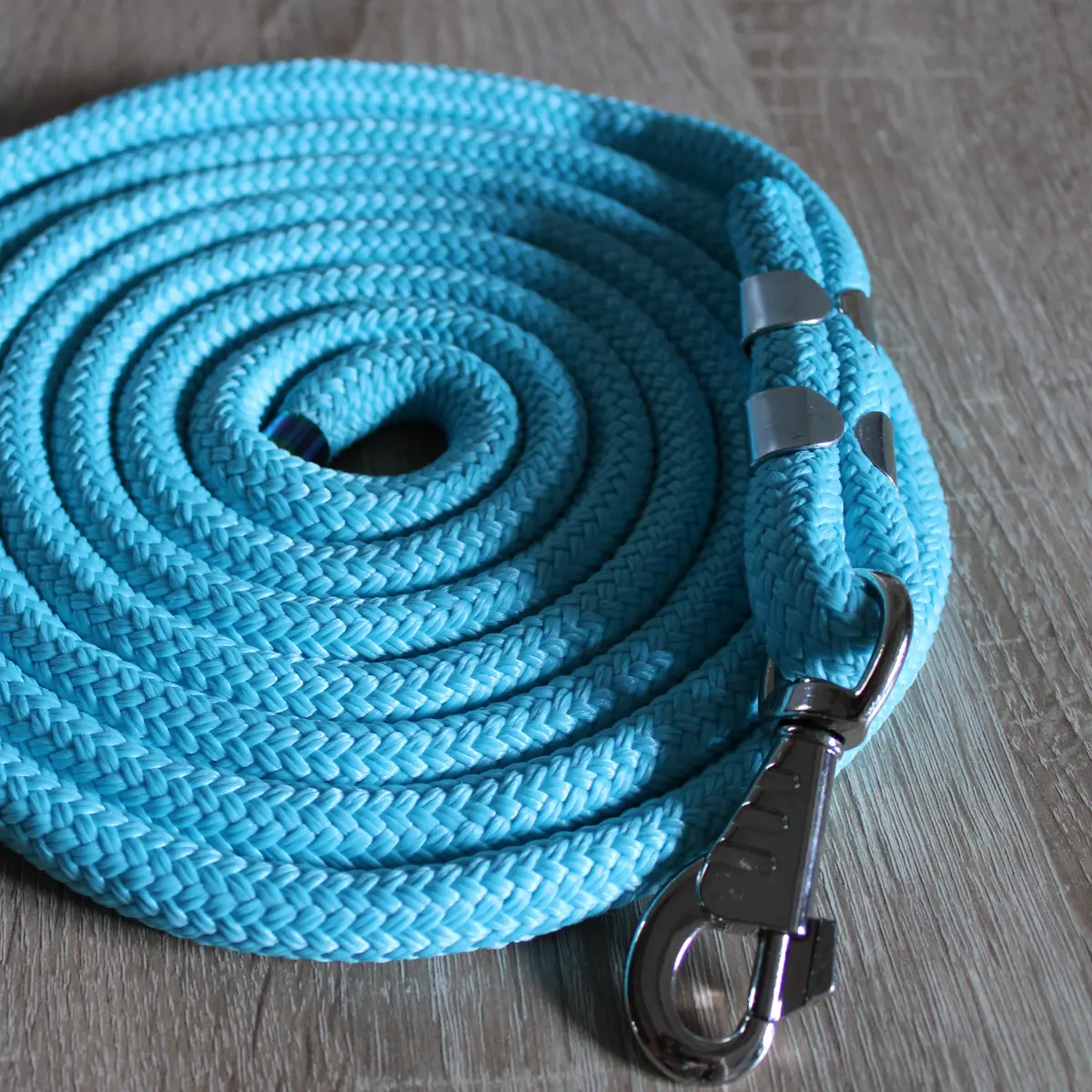 Easy lead rope 10