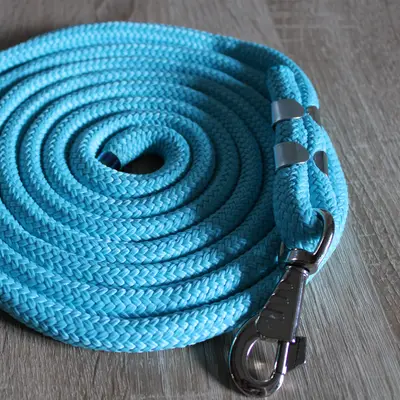 Easy lead rope 10