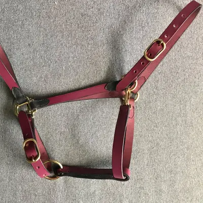 Two-tone stable halter 1