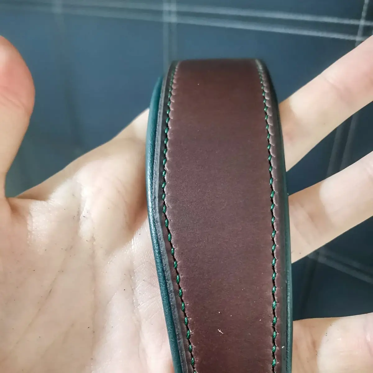 Hand stitched leather Side-pull 2