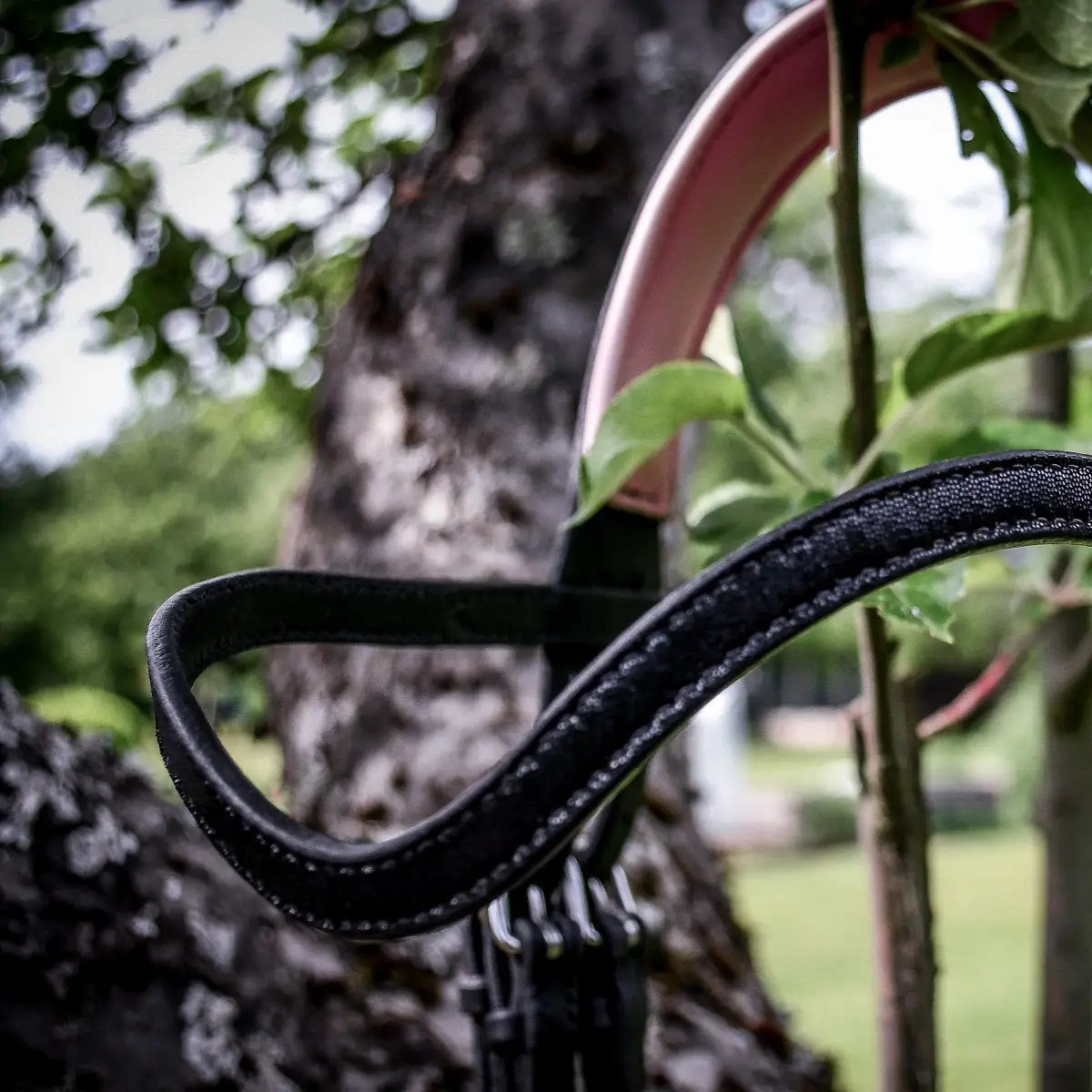 Hand stitched chic bridle 2